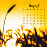 August 2025 calendar wallpapers