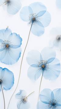 cute spring blue flowers wallpaper